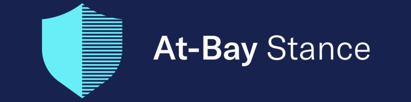 cyber insurance with at-risk management